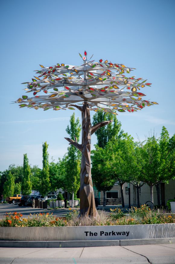 Tree of Seasons Roundabout